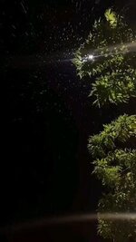 89f549a0067d781c5a9d130ea41de778.jpg
