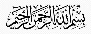 IMG_5217.jpeg IMG_5217.jpeg