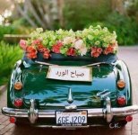 ٢٠٢١٠٩٢٢_٠٧٠٧٤٨.jpg ٢٠٢١٠٩٢٢_٠٧٠٧٤٨.jpg