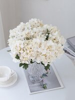 1685265134541.jpeg 1685265134541.jpeg