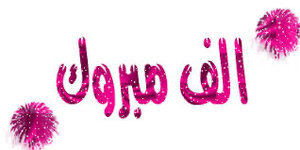 IMG_3806.jpeg IMG_3806.jpeg