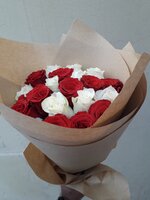 IMG_3931.jpeg IMG_3931.jpeg