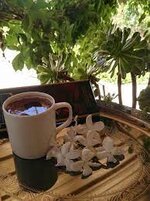 images - 2023-06-04T113716.396.jpg