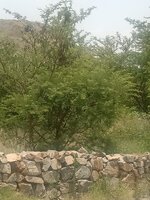 WhatsApp Image 2023-06-06 at 8.58.23 PM.jpeg WhatsApp Image 2023-06-06 at 8.58.23 PM.jpeg