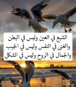 IMG_3228.jpeg IMG_3228.jpeg