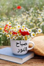 1687215265406.jpeg 1687215265406.jpeg