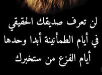 IMG_3367.jpeg IMG_3367.jpeg