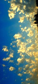 ٢٠٢٢١١١٣_١٦١٩٤٨.jpg ٢٠٢٢١١١٣_١٦١٩٤٨.jpg