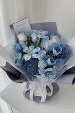 IMG_1655.jpeg IMG_1655.jpeg