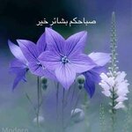 1687481168039.jpeg 1687481168039.jpeg