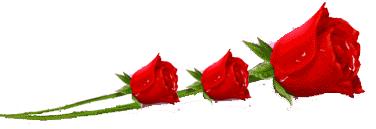 f0bc0298d31c61c01f01d6effdc2a5f2.gif f0bc0298d31c61c01f01d6effdc2a5f2.gif