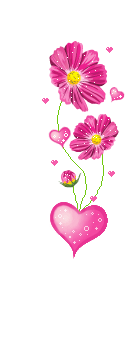 IMG_3856.gif IMG_3856.gif