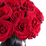 DirWXCFCqVrGKuCSspBZrwzcAzZl4d4IW6i5BAcO.jpg DirWXCFCqVrGKuCSspBZrwzcAzZl4d4IW6i5BAcO.jpg