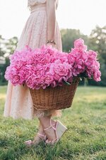 1687645971753.jpeg 1687645971753.jpeg