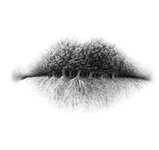 FB_IMG_1685378935248.jpg FB_IMG_1685378935248.jpg