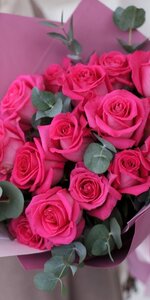 IMG_1517.jpeg