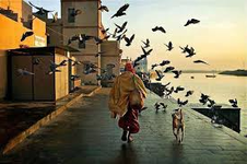 1689062760192.png 1689062760192.png