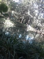 20221022_114733.jpg 20221022_114733.jpg