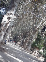 20221022_120013.jpg 20221022_120013.jpg