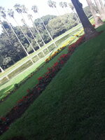 20221022_123857.jpg 20221022_123857.jpg