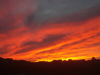 20221121_174741.jpg 20221121_174741.jpg