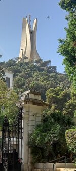 Screenshot_20221024-220006_Gallery.jpg Screenshot_20221024-220006_Gallery.jpg