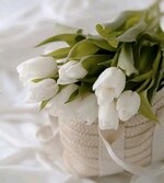 1688767945595.jpg 1688767945595.jpg