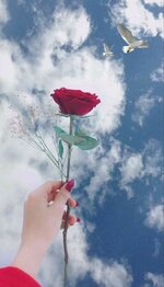 84f7c9b97ae77d4b7f9cc3bb65a94717.jpg 84f7c9b97ae77d4b7f9cc3bb65a94717.jpg
