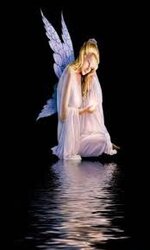 IMG_4599.jpeg