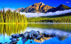 beautiful pictures of nature 2020.jpg