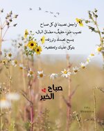 ccde79ca20c223047dcc21a91ff28dda.jpg