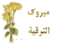 13725586061.gif 13725586061.gif