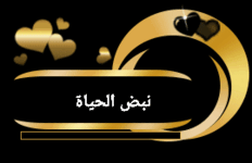 ٢٠٢٣٠٧٢٤_١٢٣١٢٣.gif ٢٠٢٣٠٧٢٤_١٢٣١٢٣.gif