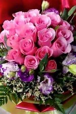 1690257178815.jpeg 1690257178815.jpeg