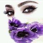 IMG_4831.jpeg IMG_4831.jpeg