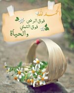 554f8016cb015e9b393fd9b09c8e0fff.jpg