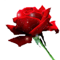 ezgif-5-708d7d38d9.gif ezgif-5-708d7d38d9.gif