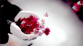 IMG_3158.gif