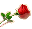 81.gif