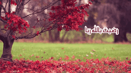 Picsart_23-08-02_08-58-05-575.gif Picsart_23-08-02_08-58-05-575.gif