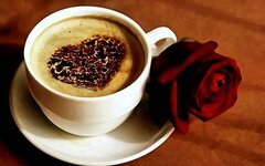 IMG_6417.jpeg