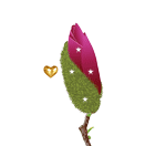 dedicated_to_all_my_friends_by_vafiehya-dallu0n.gif