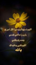 1692420403881.jpeg 1692420403881.jpeg