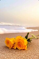 1692668165082.jpeg 1692668165082.jpeg