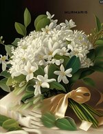 1692670342703.jpeg 1692670342703.jpeg