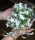 1692670639473.jpeg 1692670639473.jpeg