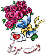 images.jpeg-٦٣.jpg images.jpeg-٦٣.jpg
