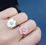 1692899863060.jpg 1692899863060.jpg