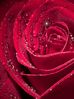 IMG_5420.gif IMG_5420.gif