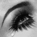 images (4) (21).jpeg images (4) (21).jpeg